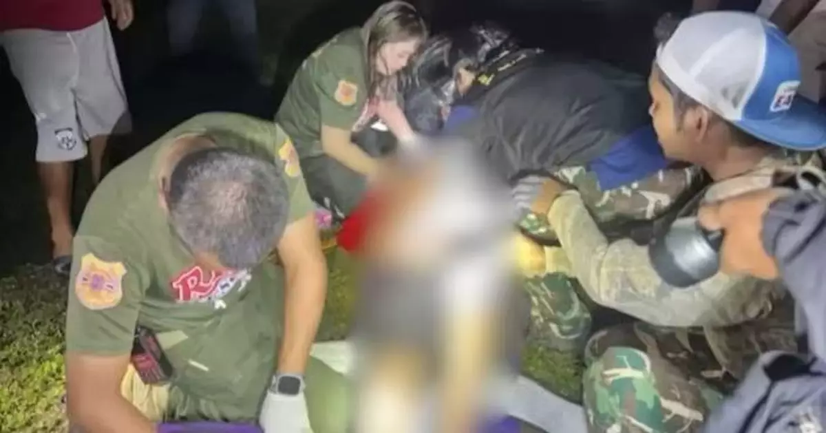 凌晨如廁突遭野象襲擊踩踏 泰國87歲老翁「內臟爆裂」傷重不治