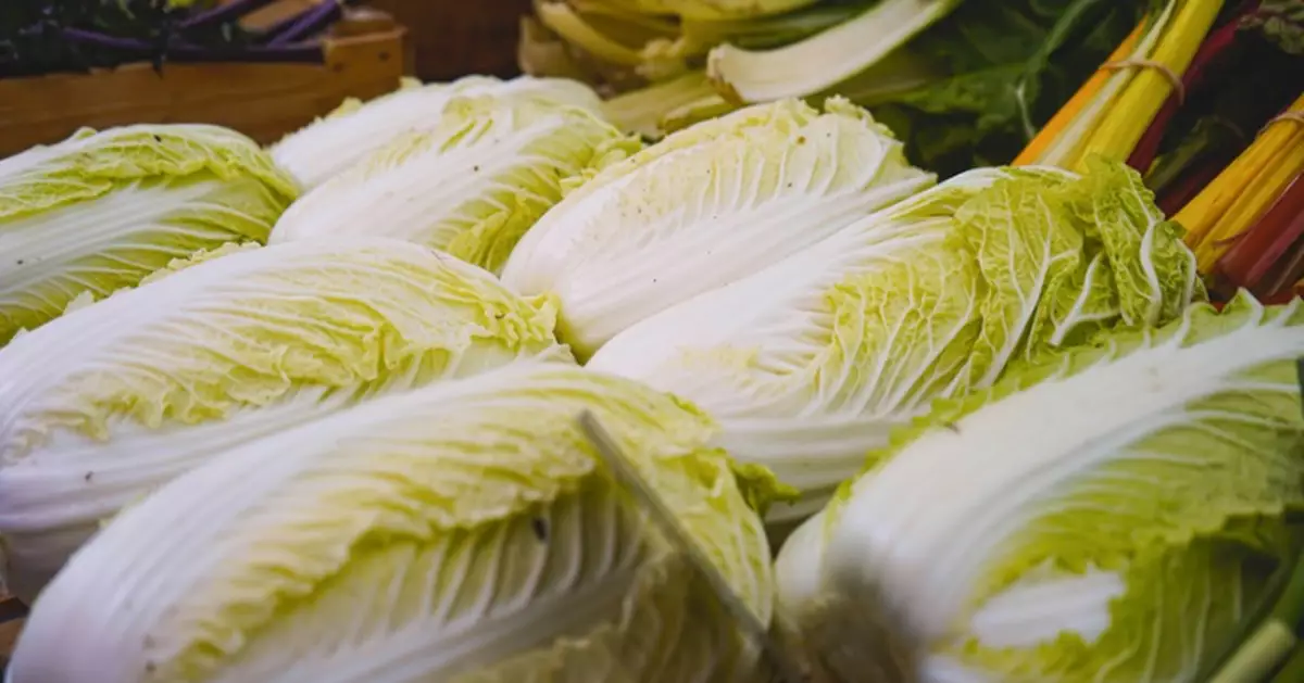 大腸長3粒癌前息肉 台男切除後戒紅肉多食白菜 3年後覆診零復發