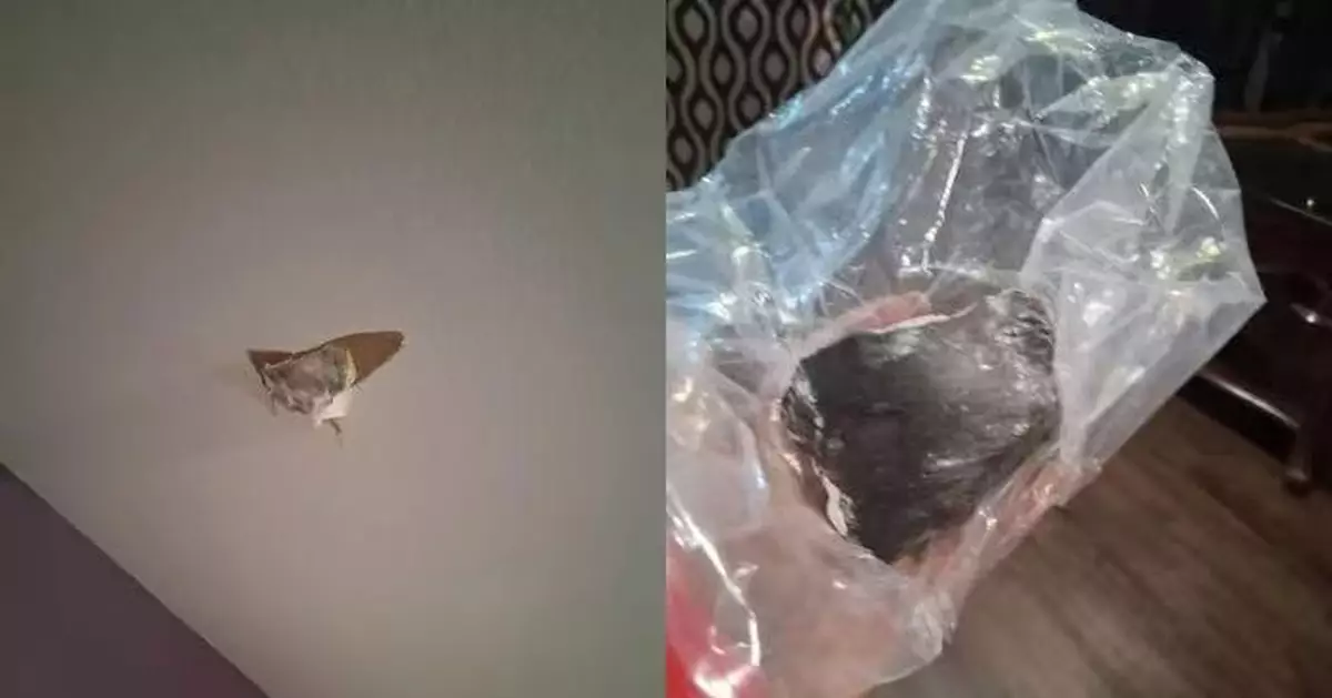 美住宅屋頂遭「天外飛石」擊中穿窿 NASA證實火球空中解體散落隕石碎片