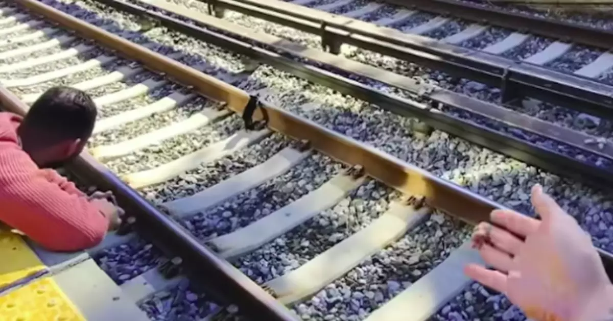 距列車進站僅6分鐘 美幼貓鐵軌徘徊獲善心途人聯手誘捕驚險救出