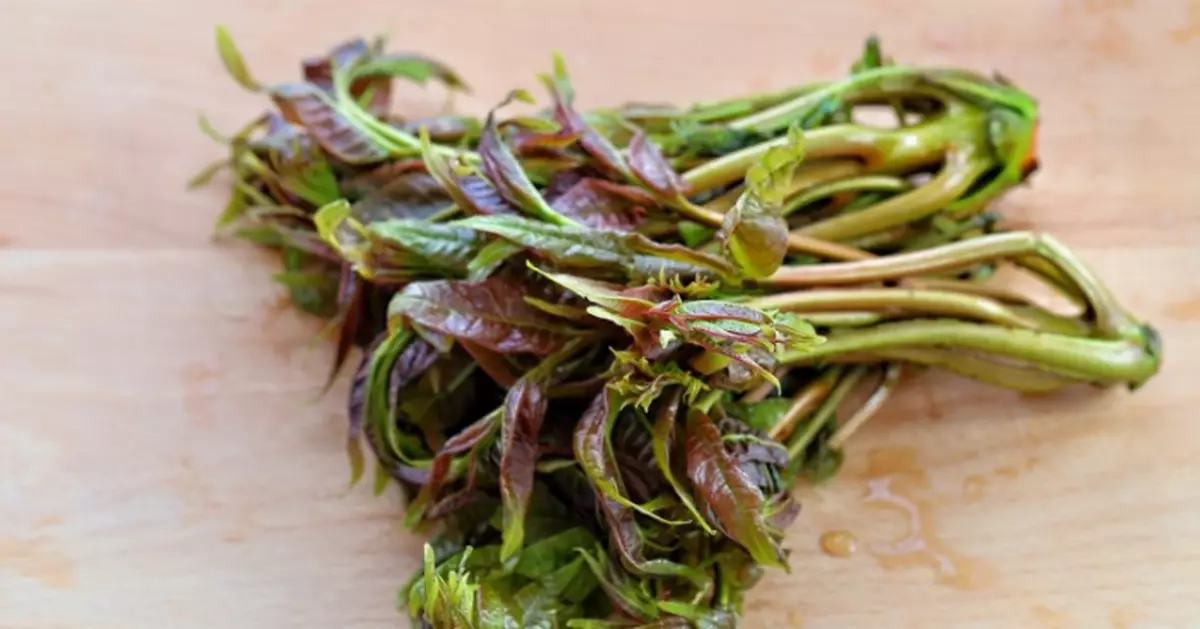 穀雨養生宜食香椿 但中醫提醒並非人人適合 進食過量或易上火