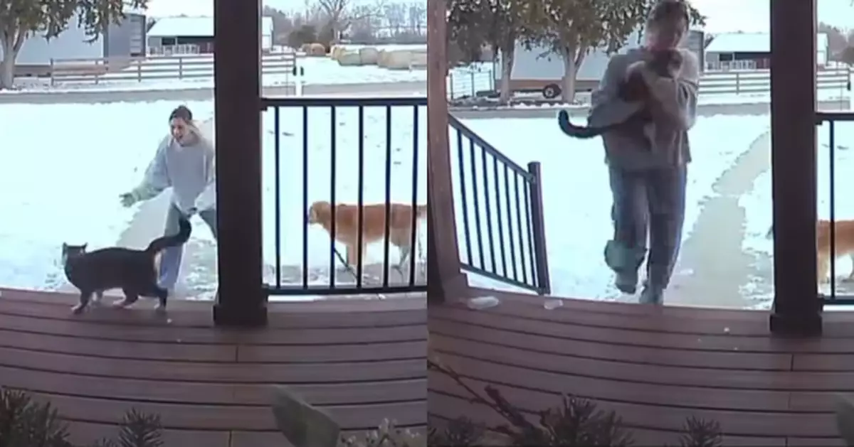 離家後突音訊全無 寵物貓6周後自行返家令主人驚喜不已