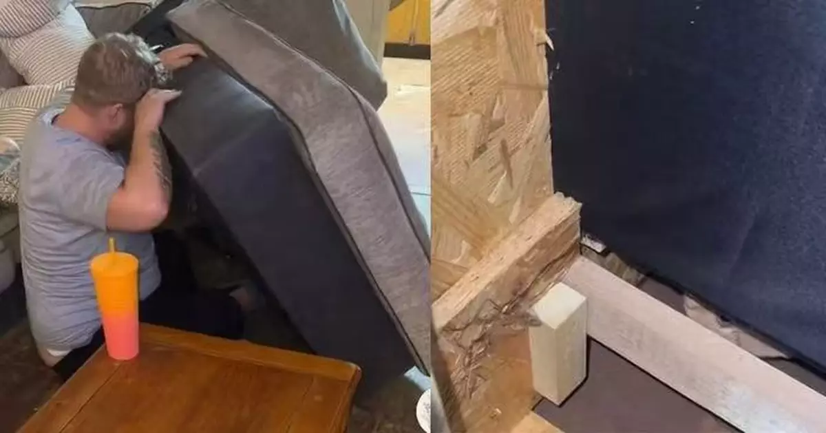 夫婦買二手梳化竟藏「不速之客」 寵物犬狂聞揭小貓藏身其中