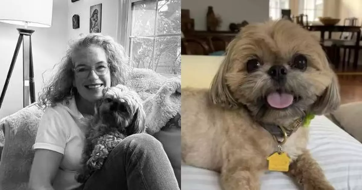 深夜家門外數米遛狗 美護士目睹愛犬遭美洲獅叼走悲痛不已