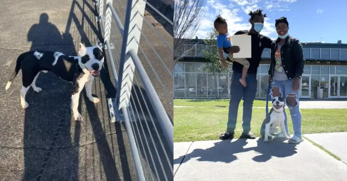 流落收容所逾兩個月 狗狗與苦尋多時主人重逢激動搖尾直撲入懷中撒嬌