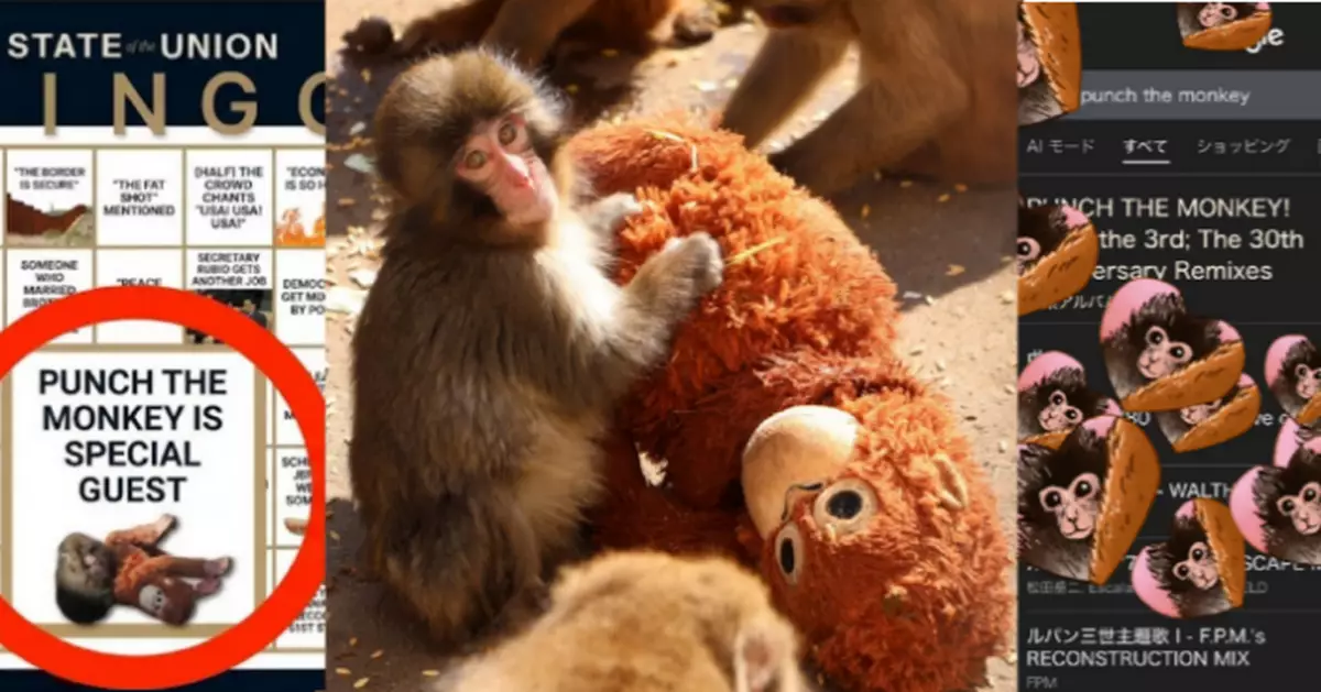 日本遭母棄養小猴抱玩偶爆紅　白宮Google齊致敬　千葉動物園逼爆創疫後新高