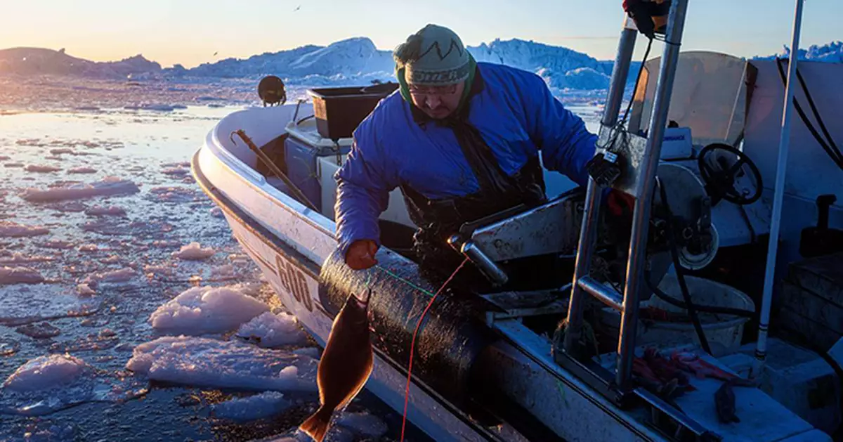 格陵蘭漁民受氣候暖化威脅 傳統捕魚方式面臨巨變 收入不穩