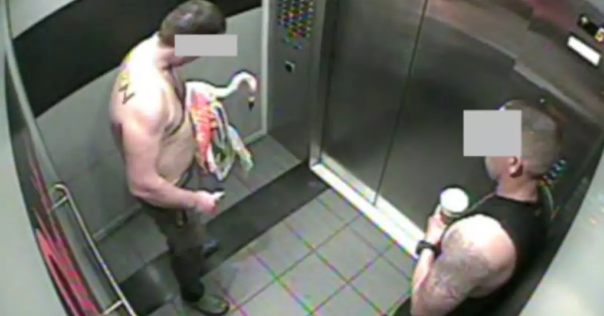 聲稱幫雀正骨？加國男闖酒店挾持火烈鳥 殘暴扯翅致遍體鱗傷