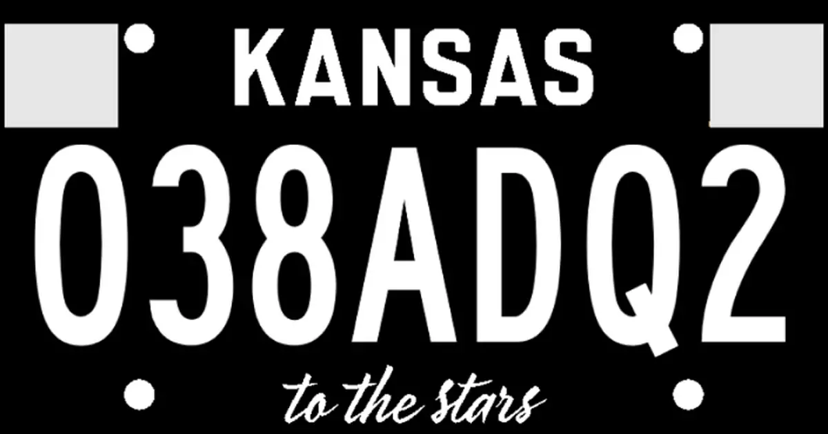 型到爆！美國翻興「黑化車牌」 車迷愛車必裝潮物