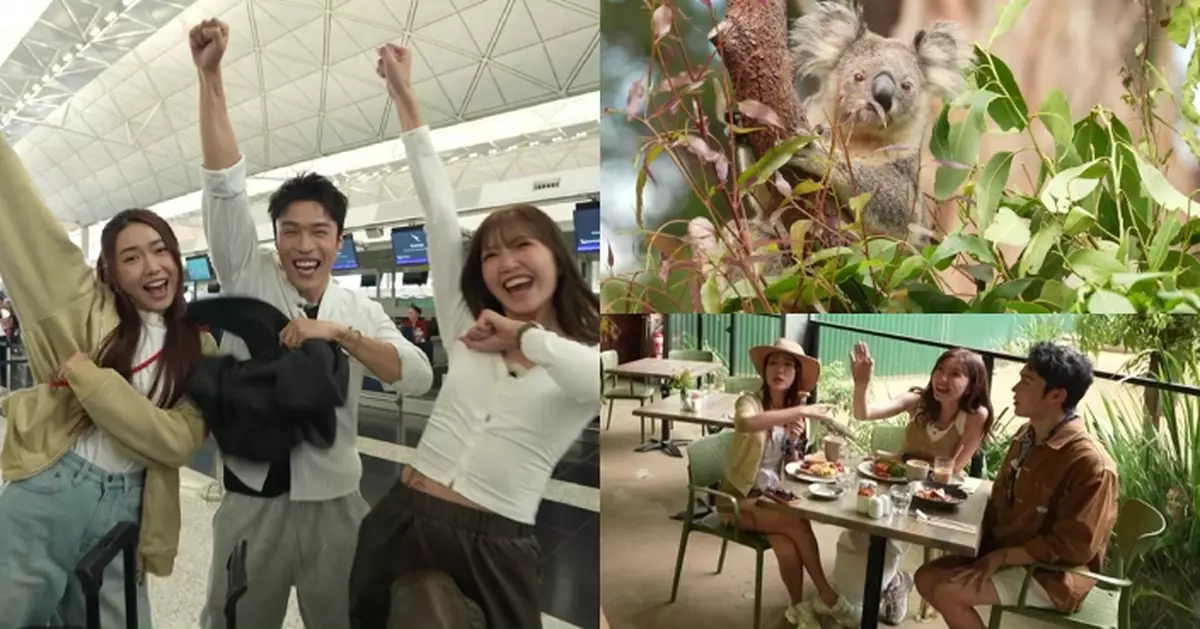 他們的澳洲駕期｜吳若希戴祖儀丁子朗玩轉昆士蘭！與3歲樹熊共進早餐引爆「口舌之戰」
