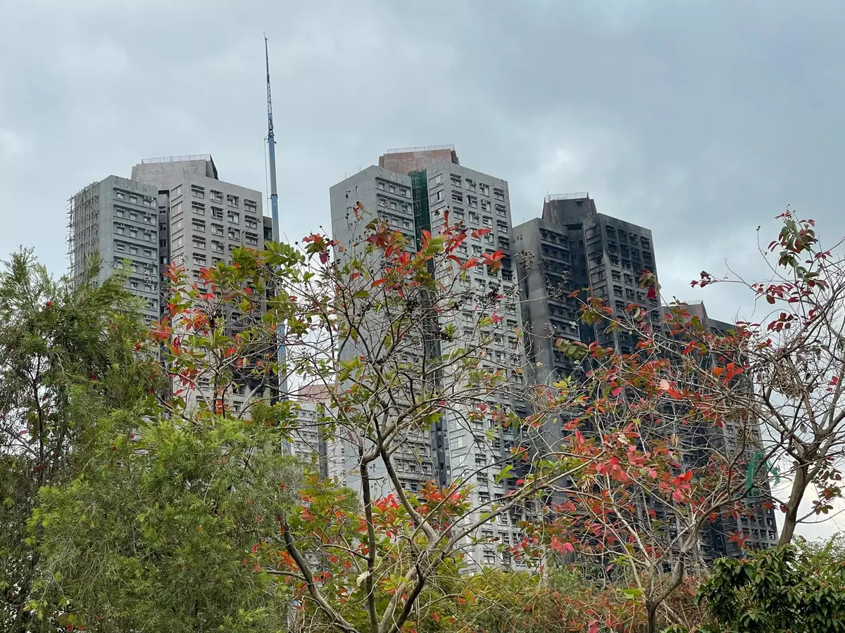 大埔火災｜消防逐步增求助熱線　專家：完善制度但須防「有線無人接」 籲增人手配套 引入AI等科技協助