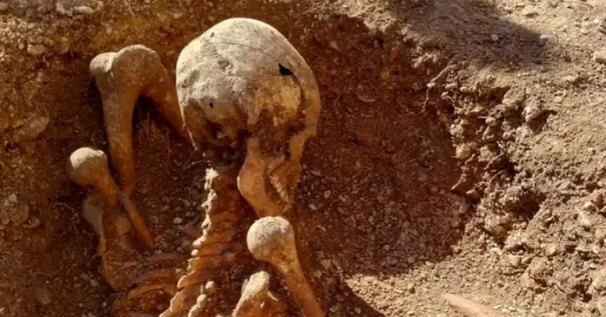 法國出土五具坐姿遺骸 姿勢「太鬆弛」引熱議 網民笑稱：飲完咖啡等埋單？