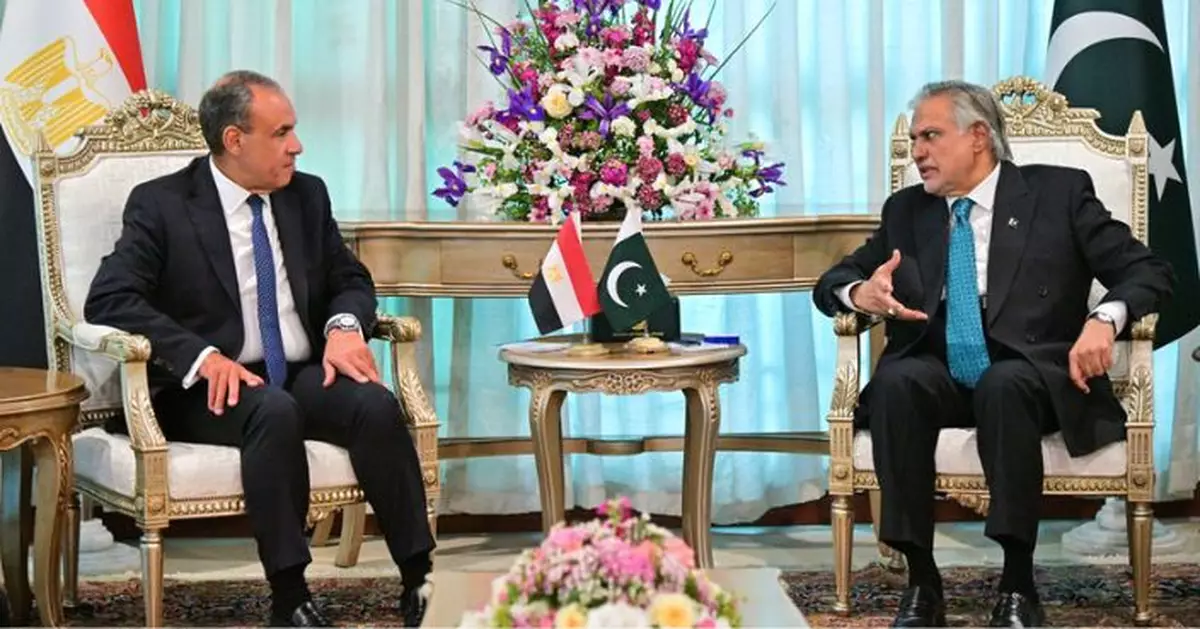 中東局勢｜巴基斯坦與到訪埃及外長會面 雙方強調克制對話