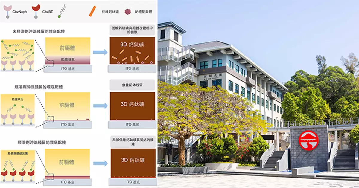 嶺大團隊改良鈣鈦礦太陽能電池 連續運作700小時仍保95%效能