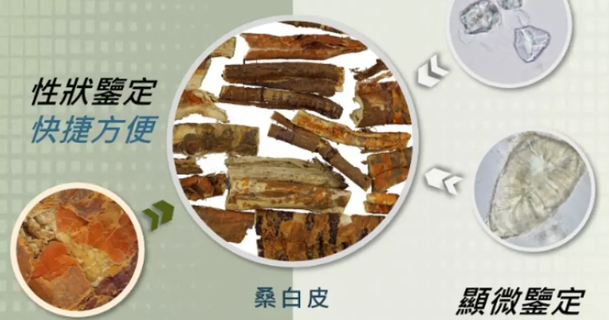 政府中藥檢測中心完成皮類中藥鑒定項目 助業界及市民辨別外觀相近飲片