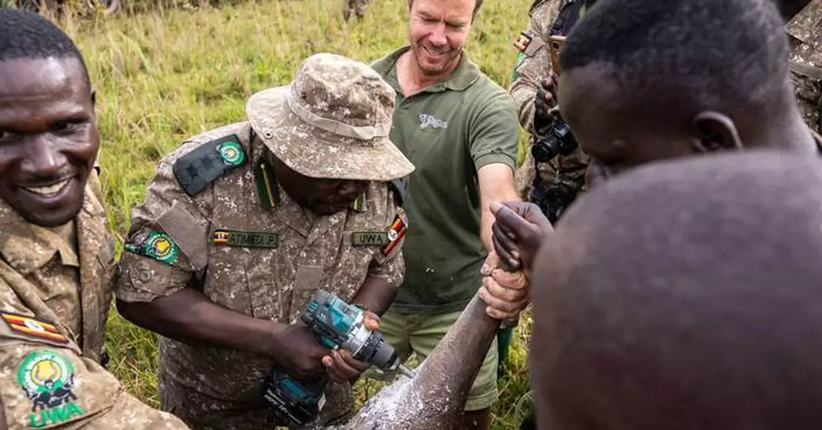 烏干達重新引入犀牛至保護區 結束1983年絕跡歷史