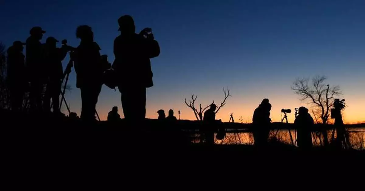 賓州數萬雪雁晨光中起飛 壯觀「鳥龍捲」揭開北遷序幕