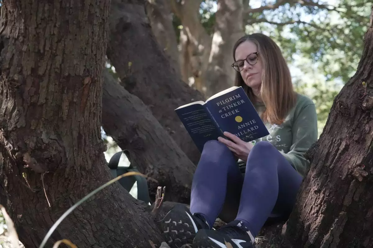 2026年3月22日周日，克萊爾·謝弗里斯（Claire Jefferies）在北卡羅來納州羅利（Raleigh, N.C.）的J.C. 勞爾斯頓植物園（J.C. Raulston Arboretum）舉行的「森林浴」活動中，坐在橡樹的樹杈上閱讀。(美聯社圖片/Allen G. Breed) AP圖片