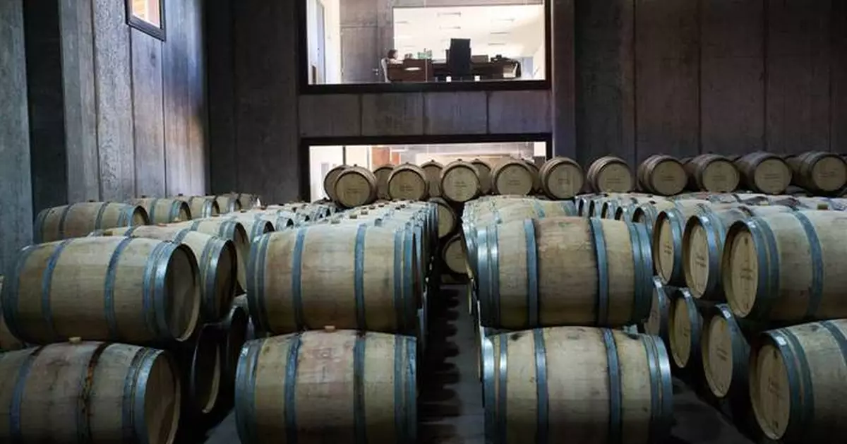 阿根廷葡萄酒業陷15年來最大危機 逾千葡萄園關閉 本地消費量創新低