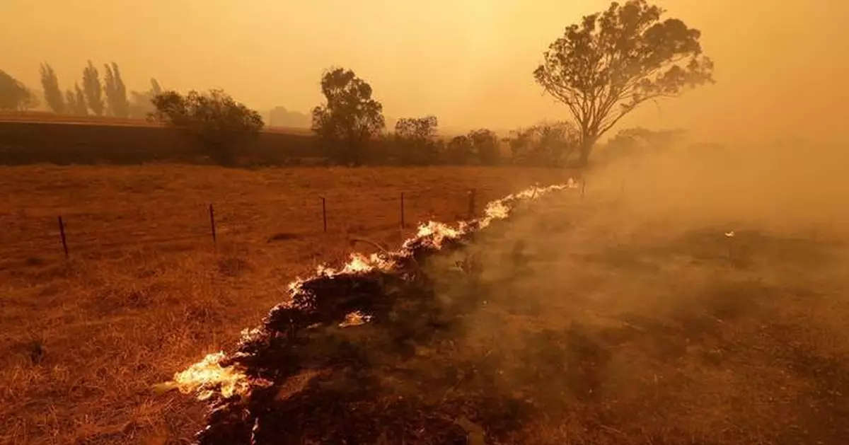熱浪＋乾旱雙重打擊！研究：全球暖化令極端天氣「連鎖爆發」成新常態