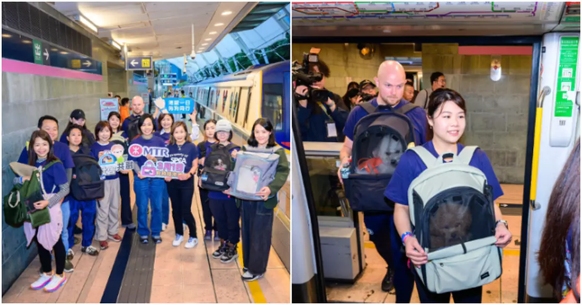 「全城狗狗行善日 」合要求狗狗開心搭港鐵　狗主：冀本港有更多寵物友善措施