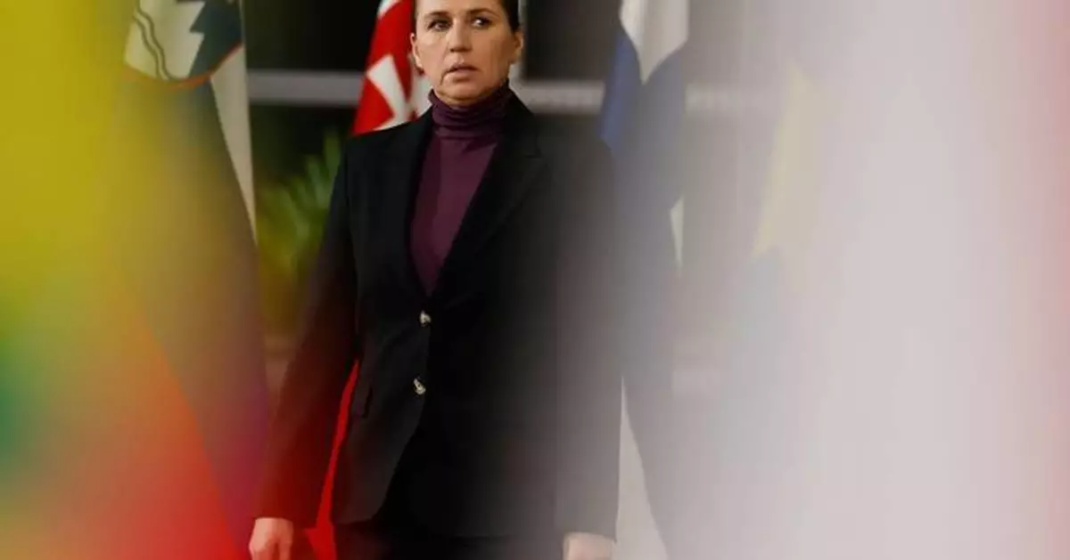 丹麥提前大選 首相弗雷德里克森尋求連任 格陵蘭主權爭議成焦點