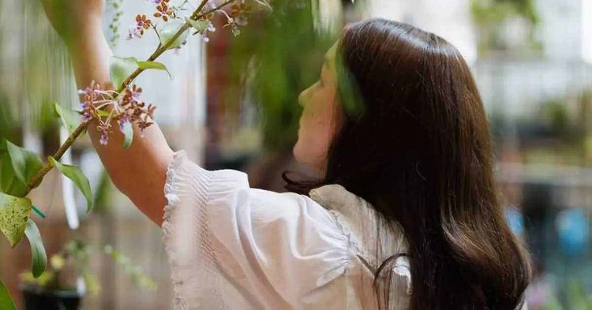 南加州春季花園展覽重臨南海岸廣場 呈獻頂級園藝盛事