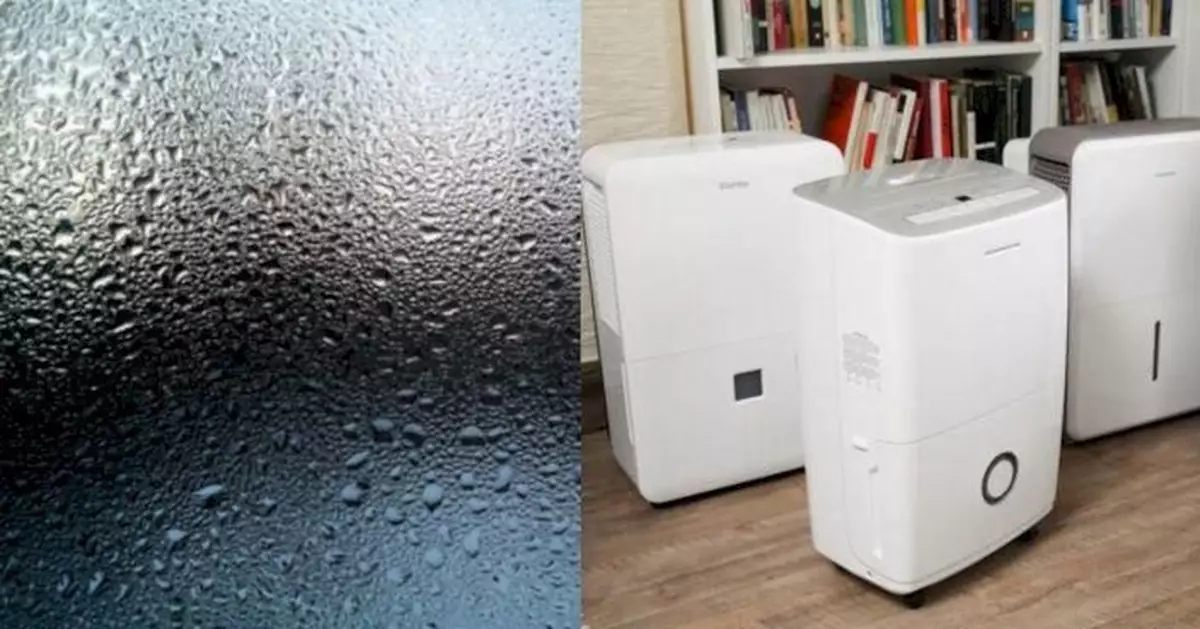 回南天濕度高達95% 專家警告抽濕機只倒水唔清洗恐變細菌溫床致肺炎