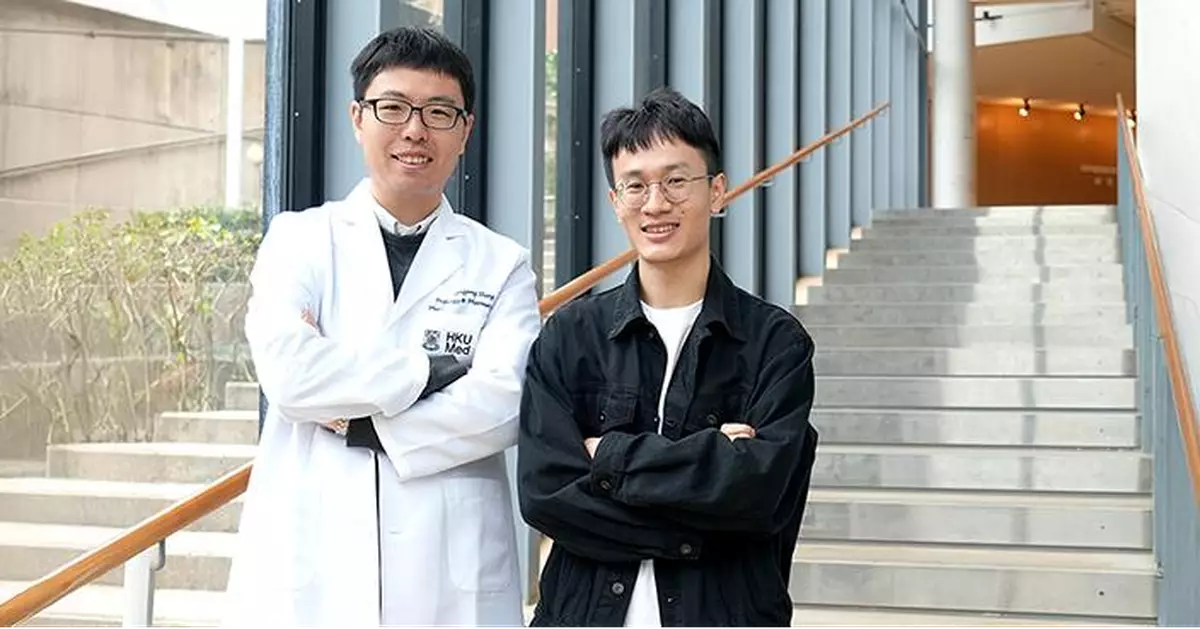 港大醫學院研發創新AI模型分析血液 提前15年精準預測中風及冠心病