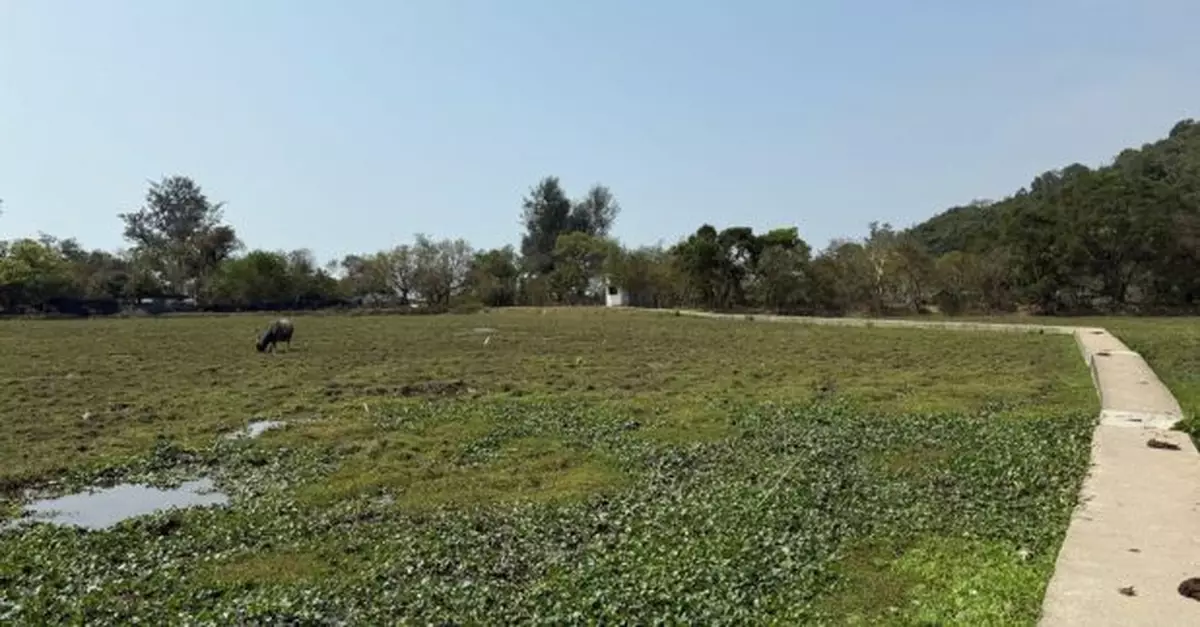 環保署稱貝澳濕地去年9月發現油污　較早前環境已顯著改善