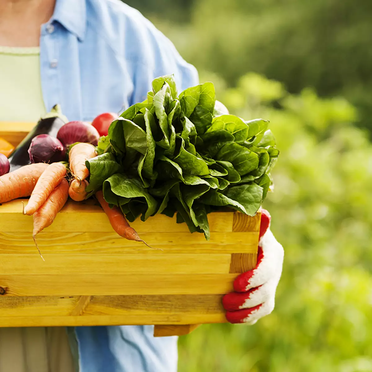 切菜割傷手指？止血前先看清傷口