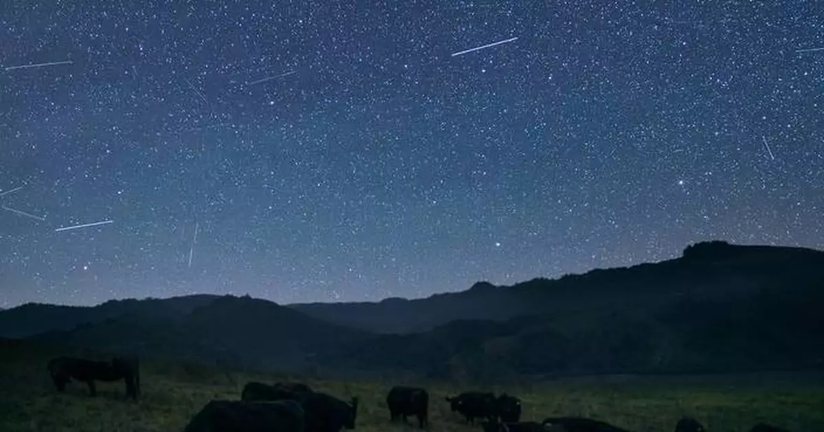 Halter推全球首個衛星虛擬圍欄系統 牧場管理不再受限