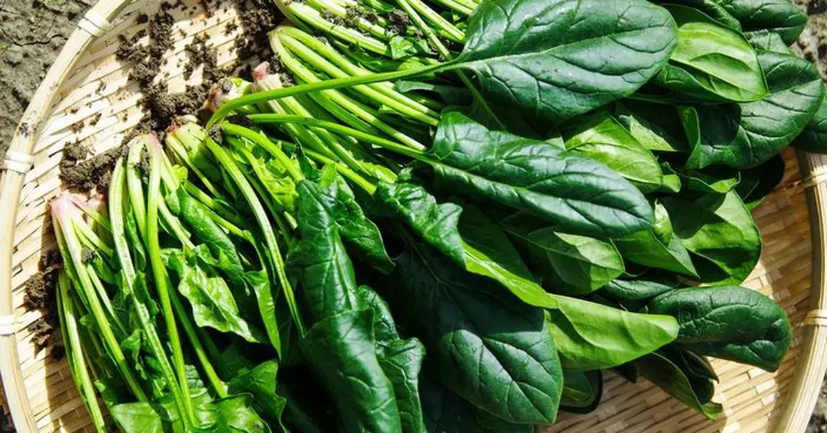 2026最污糟蔬果榜出爐 1蔬菜蟬聯榜首 PFAS農藥殘留引關注