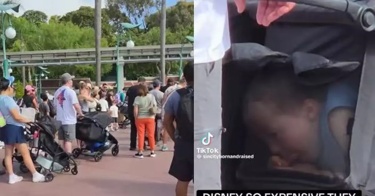 加州迪士尼樂園票價昂貴釀逃票亂象 夫婦被目擊將孩子藏嬰兒車「偷渡」入園