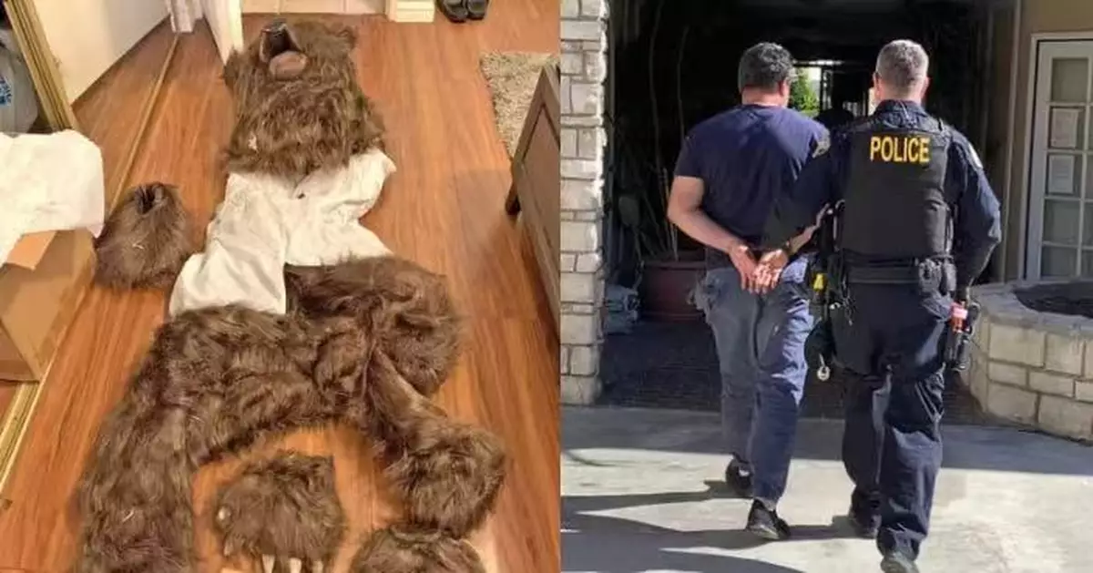 美3男女扮熊破壞豪車呃保險索賠逾百萬 離奇騙局遭揭穿