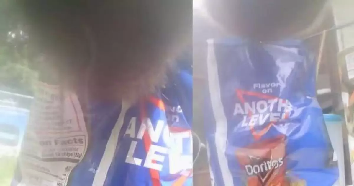 美環保局黑熊身上裝攝影機 捕捉幼熊潛民宅叼走多力多滋趣味畫面