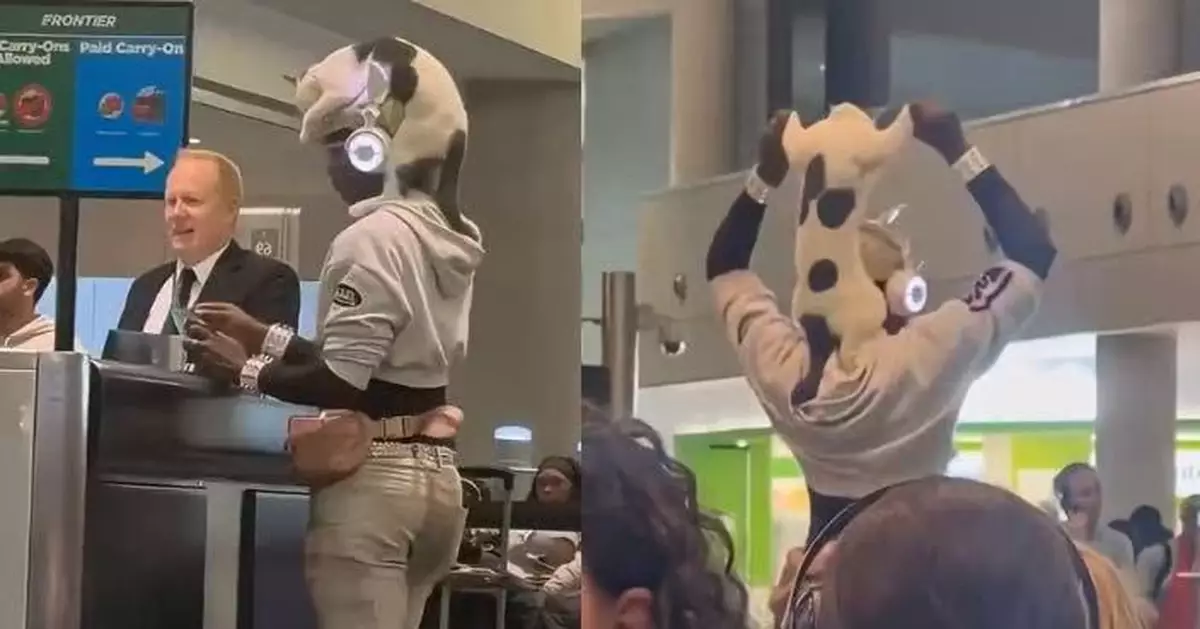 變「另類頭飾」伏主人頭頂逛機場 失聰貓貓神情淡定如模特行騷