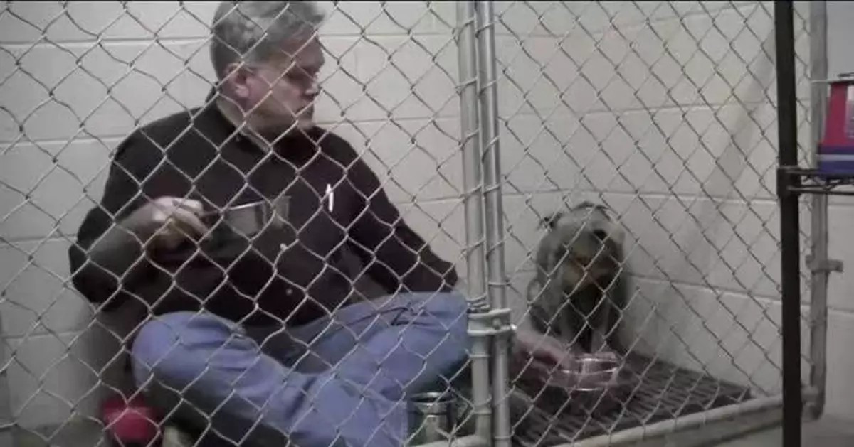 流浪狗見人退縮拒進食 獸醫入籠坐低陪食助卸心防 暖心互動感動網民