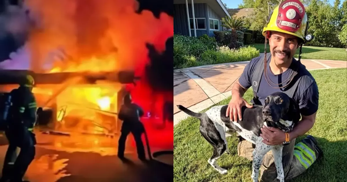 凌晨察覺車庫起火狂吠 美3歲忠犬及時叫醒主人一家逃離火場獲讚英雄犬