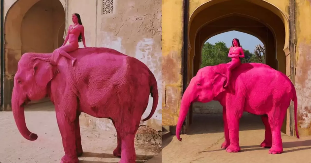 印度母象遭全身塗滿粉紅顏料拍照數月後死亡 俄女攝影師陷虐待動物風波