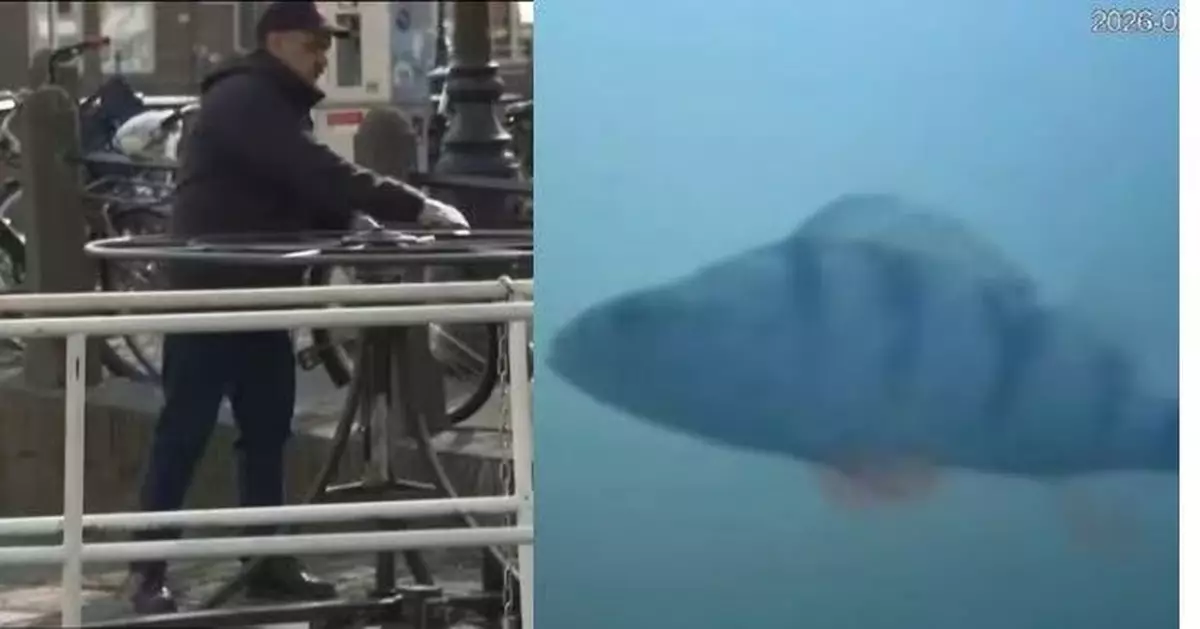 魚群遷徙遭水閘擋路 荷蘭推「魚門鈴」計劃邀全球網民幫魚按鐘開路