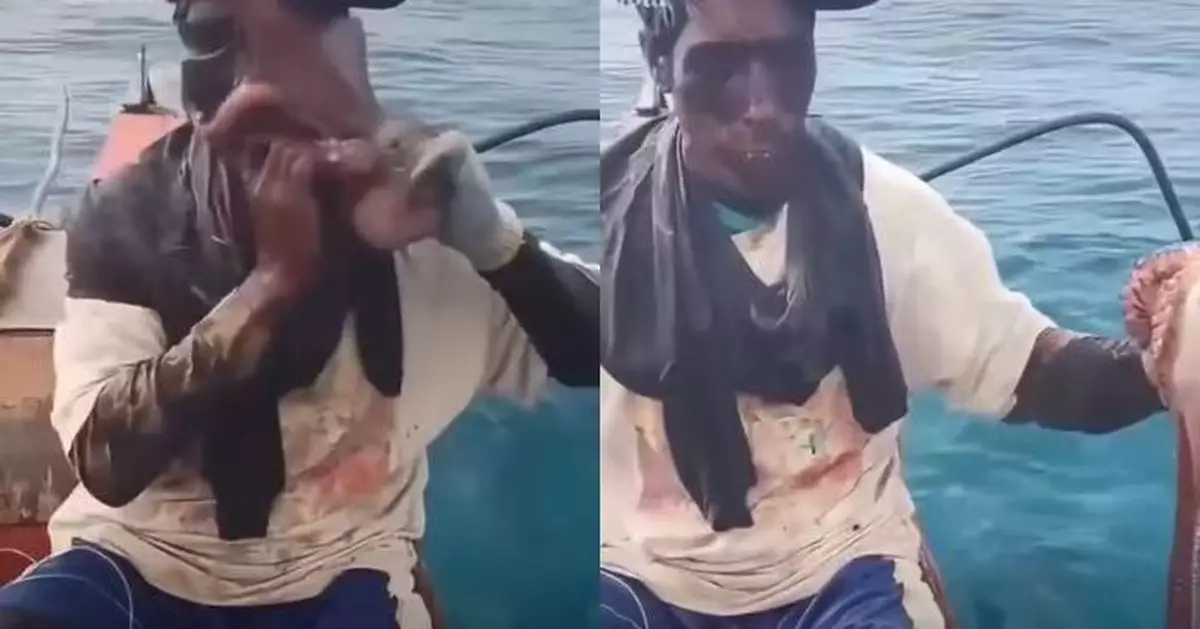 遭八爪魚8腕足緊纏頭部覆蓋全臉險窒息 漁夫驚險掙脫留滿面墨汁吸盤印