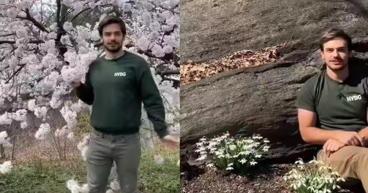 美型男園藝師拍片講解植物知識 因出眾外表爆紅 網民唔睇植物睇靚仔瘋狂「示愛」