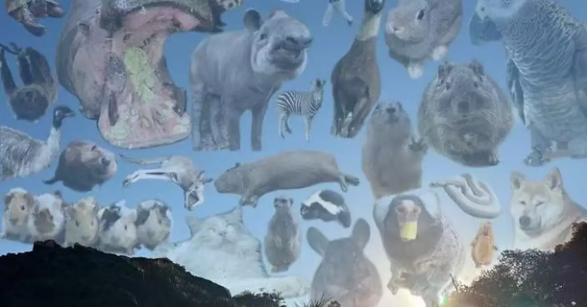 飼育員休假最掛住邊個？ 日動物園趣味配圖爆紅 園長也入列「動物名單」