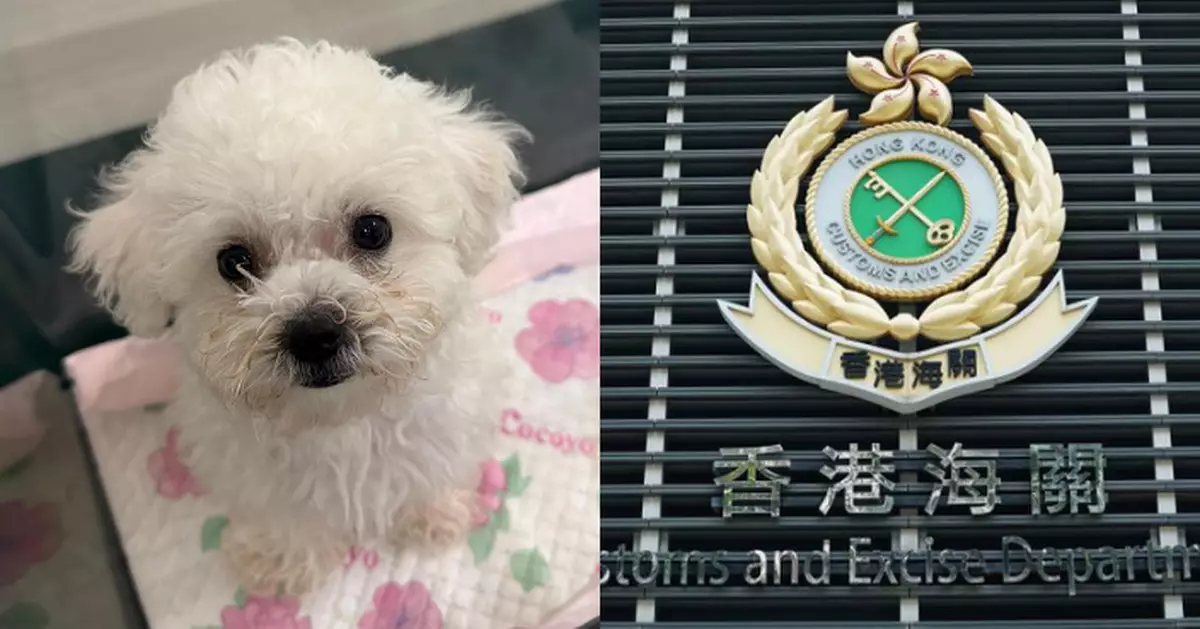 海關落馬洲支線管制站檢懷疑非法進口犬隻 64歲女子被捕