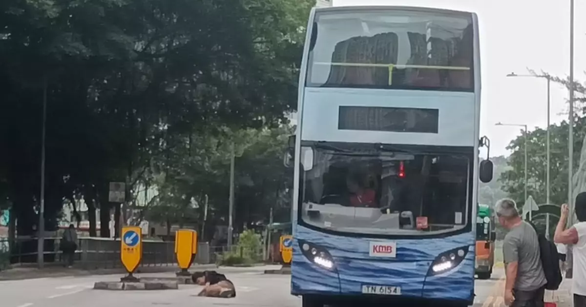 11歲男童秀茂坪過馬路遭九巴撞倒手腳擦傷送院 車長被暫時停職