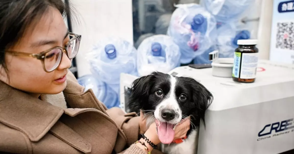 高鐵「愛寵行」試行一年累計託運逾1.5萬隻寵物 擴展至121座車站228班列車