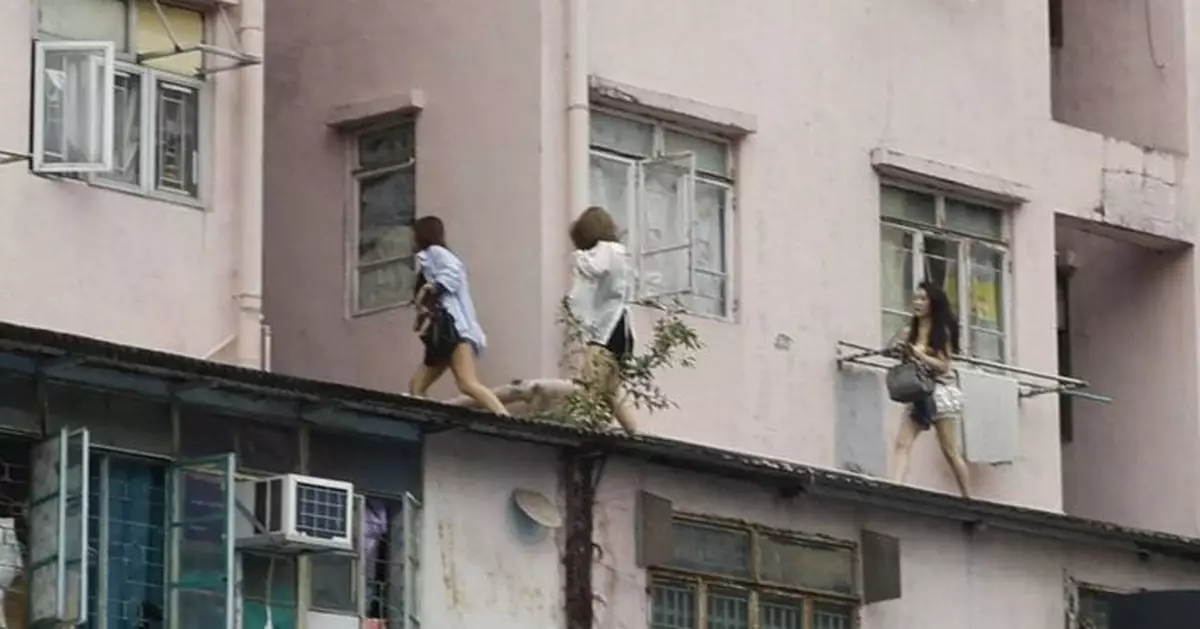 元朗住宅驚現多名女子行簷篷 網民熱議：火警演習？掃黃行動？