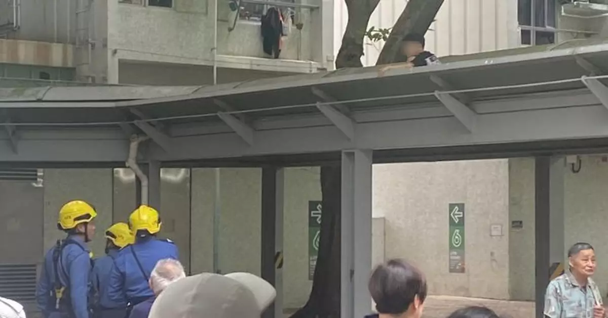 天水圍8歲童爬行人道上蓋撿紙飛機 祖母涉疏忽照顧被捕