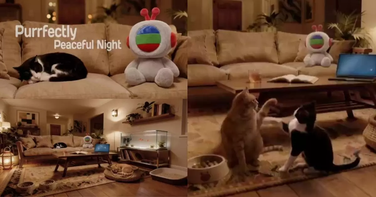 無綫深宵時段搞搞新意思 精心打造療愈感《貓咪小夜曲》代替《祝君晚安》火爐片